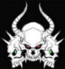 skull.jpg